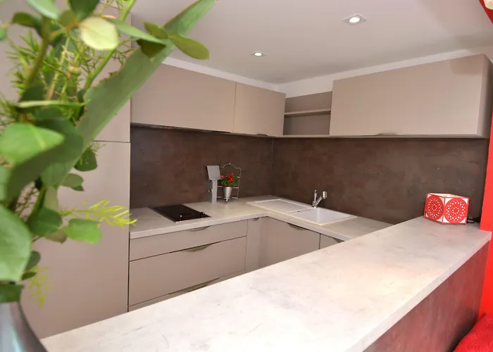 Lou Trelus Sainte-Maxime