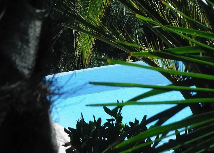 Lou Trelus 생트막시메